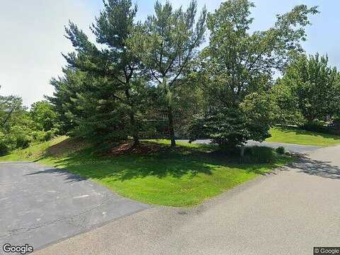 Sweet Gum, PITTSBURGH, PA 15238
