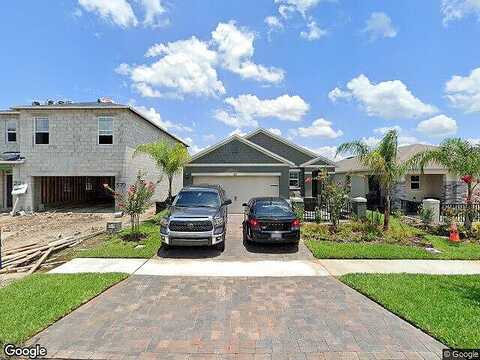 Caryota, NEW SMYRNA BEACH, FL 32168