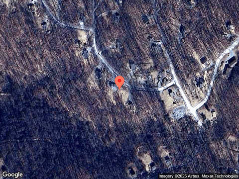 Tulip Poplar, LINDEN, VA 22642