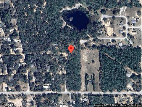 Hibiscus, LADY LAKE, FL 32159