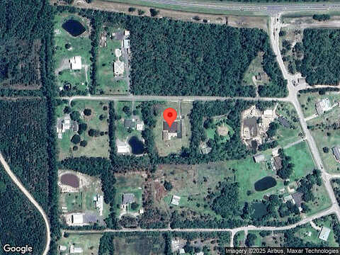 White Spruce, ORMOND BEACH, FL 32174