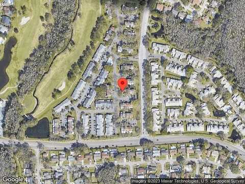 Rambling Vine, TAMPA, FL 33624