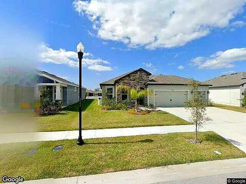 Tetrafin, RIVERVIEW, FL 33579