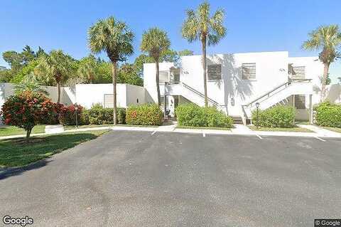 Palm Tree, BRADENTON, FL 34210