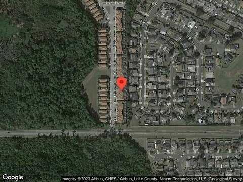 Banana Palm, KISSIMMEE, FL 34747