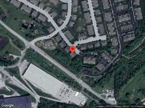 Palomino, RED LION, PA 17356