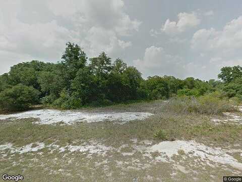 Amberjack, KISSIMMEE, FL 34759