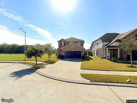 Blue Point Juniper, HOUSTON, TX 77075