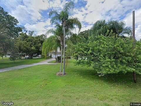 Shiner, LAND O LAKES, FL 34638