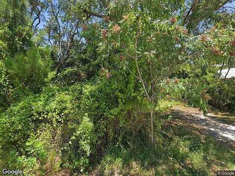 Native Tree, SANTA ROSA BEACH, FL 32459