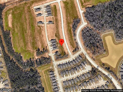 Scarlet Yaupon, CONROE, TX 77301