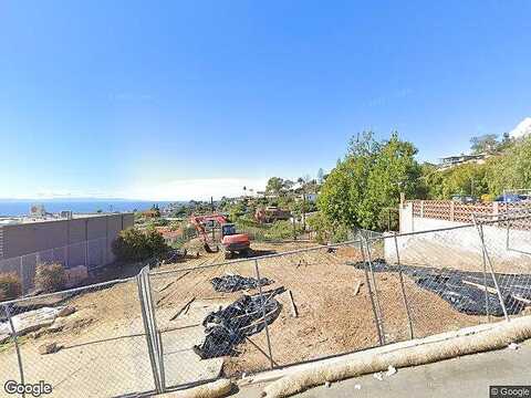 Lupine, VENTURA, CA 93001