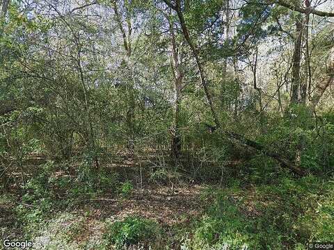 Azalea Drive, Freeport, FL 32439