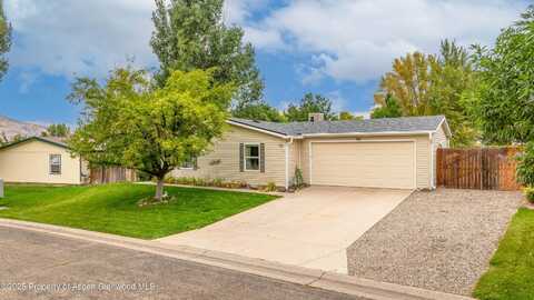 17 Mineral Springs Circle, Parachute, CO 81635