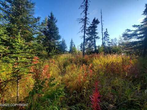 64195 Bolotna Road, Nikolaevsk, AK 99556