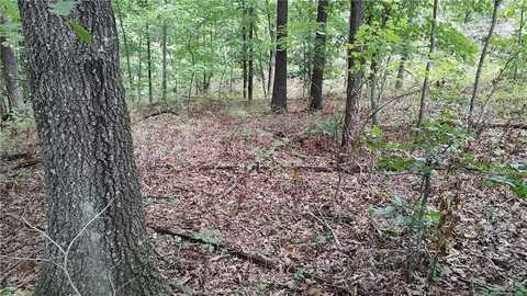 Tummell DR, Bella Vista, AR 72715