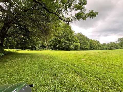 772 Leivasy Rd, NETTIE, WV 26681