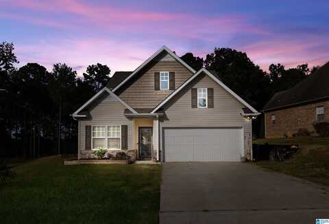 759 TWIN RIDGE CIRCLE, LINCOLN, AL 35096