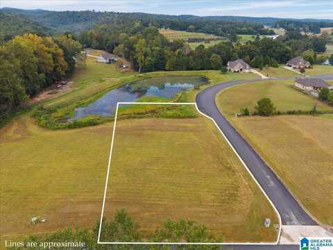 0 RIVER HEIGHTS DRIVE, CLEVELAND, AL 35049