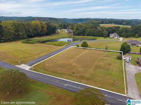 0 RIVER HEIGHTS DRIVE, CLEVELAND, AL 35049