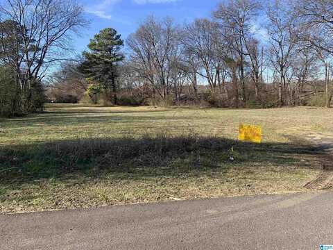 3202 7TH AVENUE, BESSEMER, AL 35020