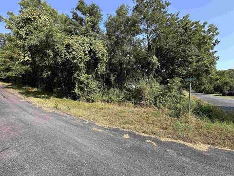 308 Diamond Ln, Horseshoe Bend, AR 72512