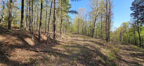 645 Chimney Rock road, Shirley, AR 72153