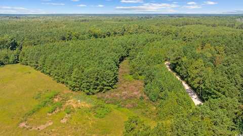 Lot 1 Womack Rd., Nichols, SC 29581