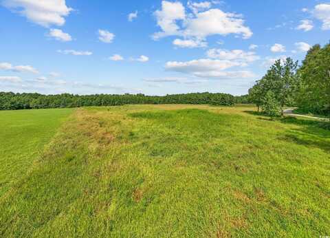 LOT 4 Womack Rd., Nichols, SC 29581