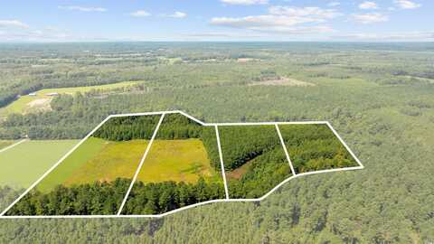 LOT 4 Womack Rd., Nichols, SC 29581
