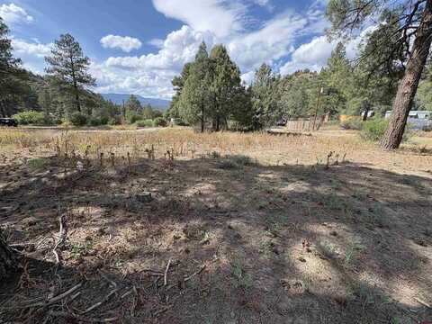 22 Blue Jay Place, Pagosa Springs, CO 81147