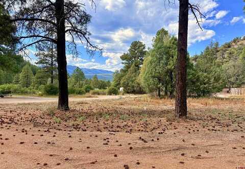 22 Blue Jay Place, Pagosa Springs, CO 81147