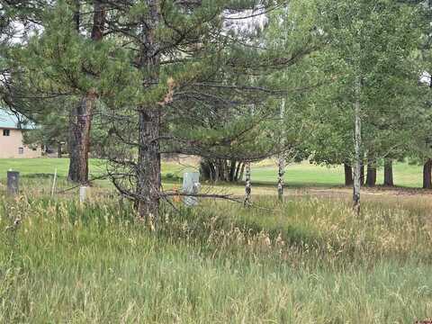 94 Pines Club Place, Pagosa Springs, CO 81147