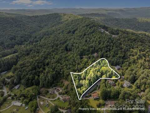 28 Morgan Drive, Penrose, NC 28766