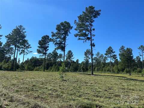 2.20 AC Harmony Church Road unit: 1, Edgemoor, SC 29712
