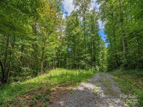 Flowing Brook Lane unit: 3, Waynesville, NC 28786