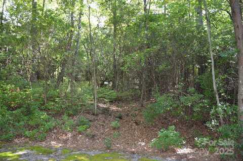 Galax Lane lot: 9, Brevard, NC 28712