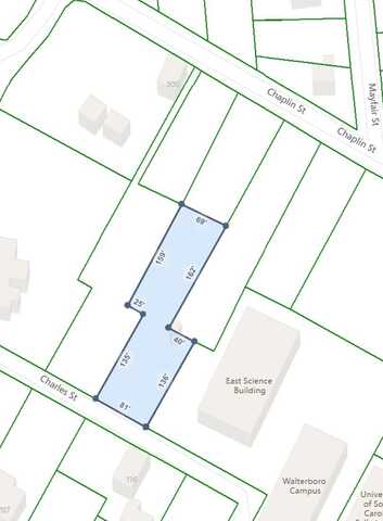 113 Charles Street, Walterboro, SC 29488