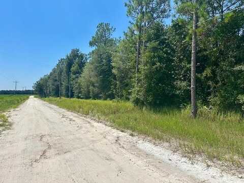 5919 10th Ave, Bell, FL 32619
