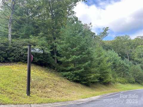 99999 May Fly Lane 115, Horse Shoe, NC 28742