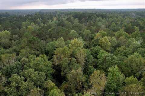 284 Irene Drive, Clarkton, NC 28433