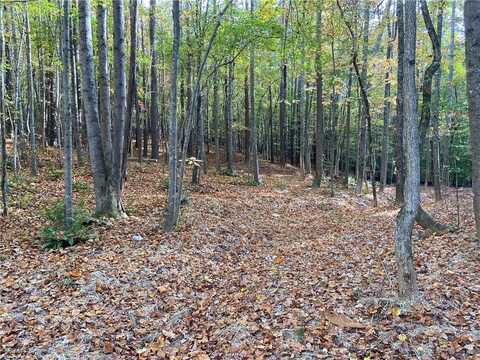 451 Lone Bear Path, Dallas, GA 30132