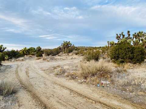 S Avenue Vic Av, Palmdale, CA 93550