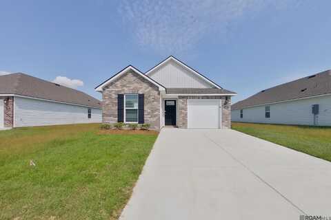 14220 Ruffian Avenue, Denham Springs, LA 70726