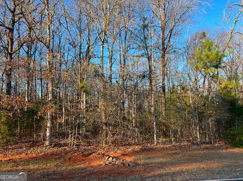 102 Gardens, Forsyth, GA 31029