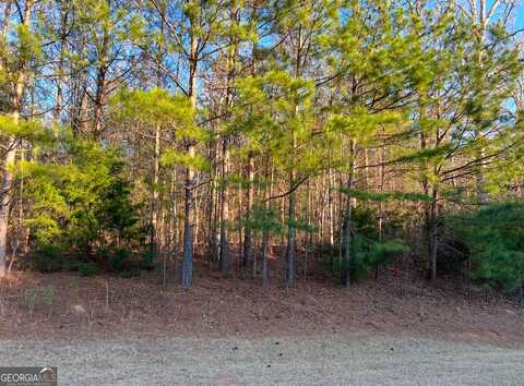 117 Gardens, Forsyth, GA 31029