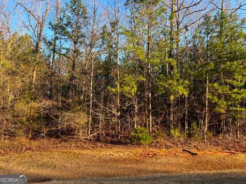 113 Gardens, Forsyth, GA 31029