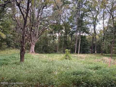 Lots 48-49 Peach St, New Haven, KY 40051
