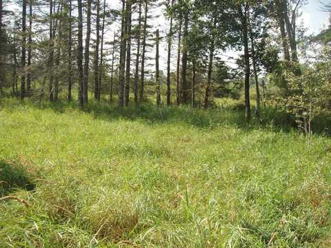 316 E ILLINOIS ST, Butternut, WI 54514