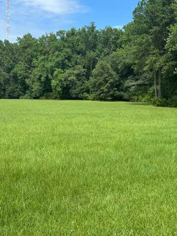 Lot 4 Branchwood Drive, Kinston, NC 28504
